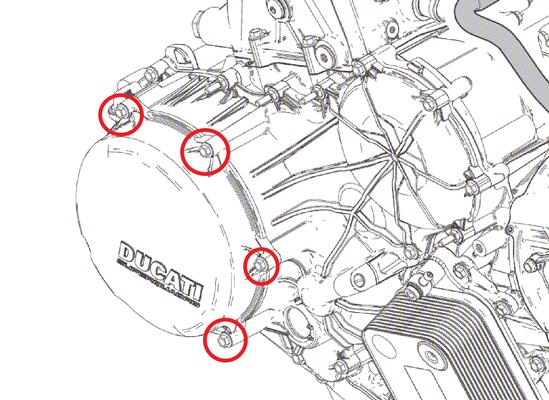 FotoKit viti carter frizione Panigale